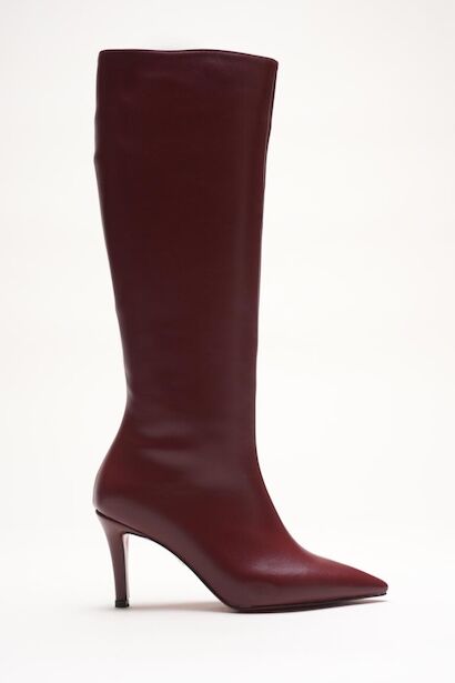 Kadın Sivri Burun Kısa Topuklu Çizme Zelda 