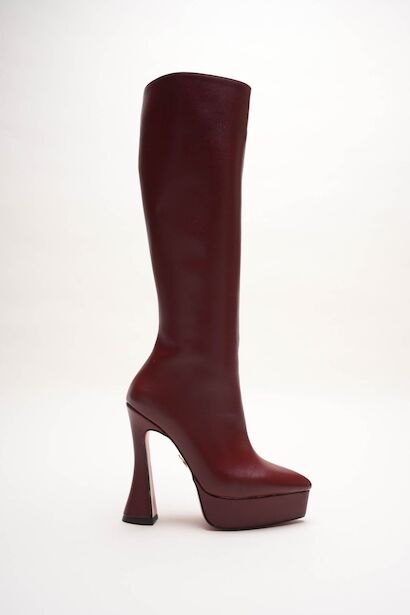 Kadın Sivri Burun Platform Çizme Violet 